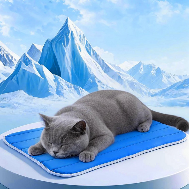 반려견용 쿨링 매트 개용 콜드 메모리 스펀지 접이식 상자 반려동물 침대 및 미끄럼 방지 QMax 045 오래 지속되는 시원함과 반려동물을 시원하게 유지하세요 중형 275 x 96, Medium - (27.5 x