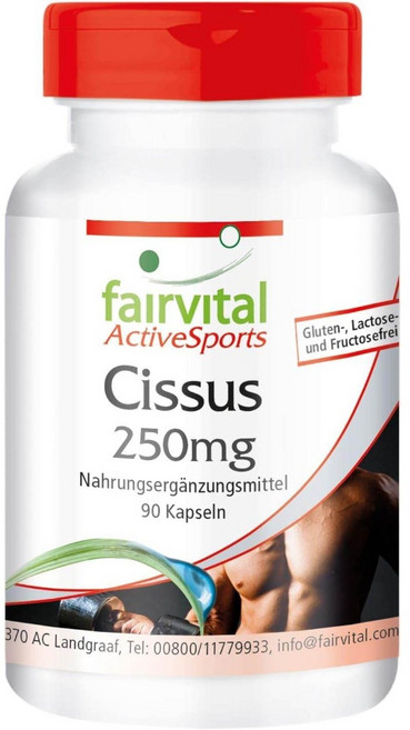 페어바이탈 Cissus 캡슐 90정, 1개