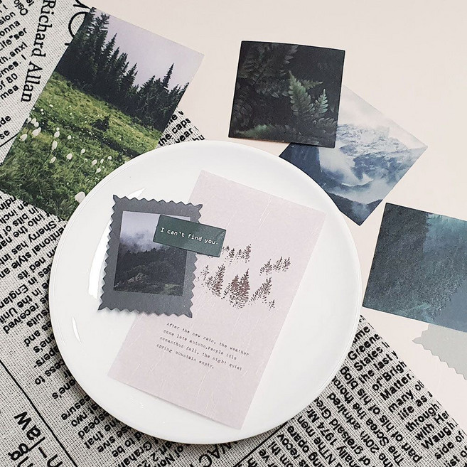 카드 숲 장식 포인트 css+3392mU