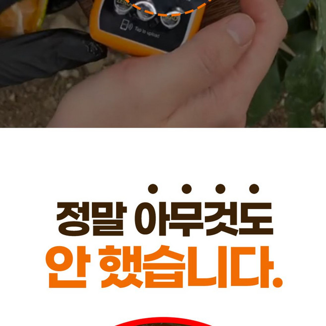 하우스감귤 (로얄과) 2kg, 1개, 단일