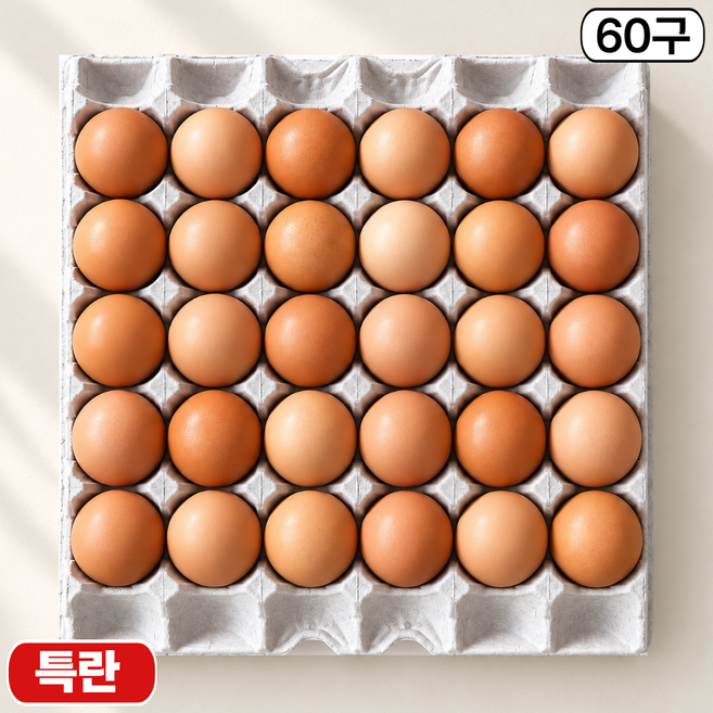 제이피농장 난각번호 3번 무항생제 계란 신선한 특란 HACCP, 1개, 60구