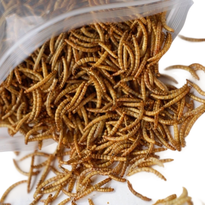 내츄럴한 동결 건조 밀웜, 25g, 1개