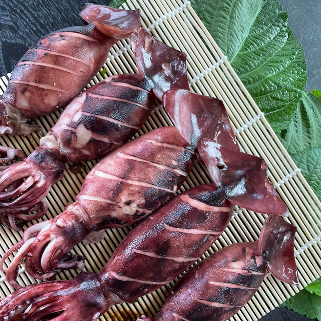 싱싱냠냠 자연산 급랭 통찜오징어 원양산 선동 초코오징어, 1박스, 500g