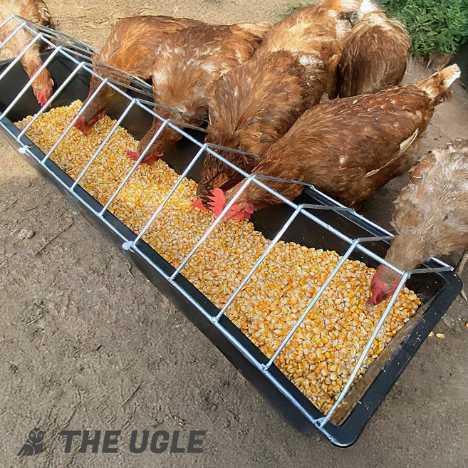 모이통 닭 사료통 버드 피딩 새 먹이통 병아리 모이 피더, 1개, 40cm