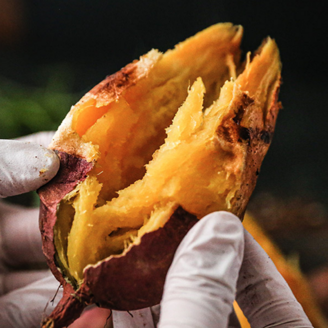 [맛꾼] 이종희님 해남 고구마 고당도 햇고구마 꿀고구마 베니하루카, 1개, 3kg(상+특)