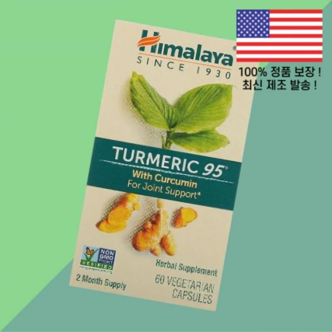 히말라야 강황 터메릭 커큐민 95 식물성 베지캡슐 60정 Himalaya Turmeric Curcumin 60 Vegetarian Capsules - 쿠팡