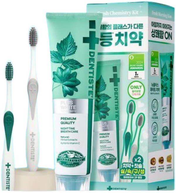 [덴티스테] 뉴플러스화이트 치약 100g+마이브러쉬 칫솔 2P증정, 1개