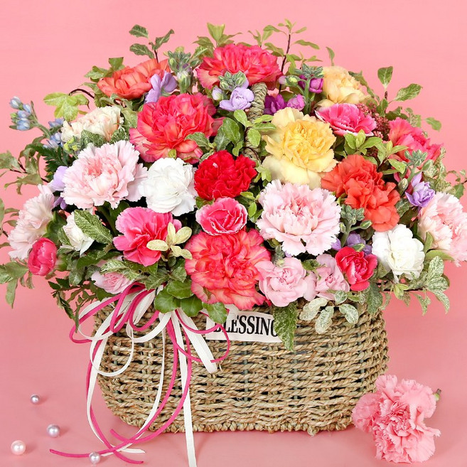 (오늘도착) 어버이날 카네이션 꽃바구니 컬러믹스 생화 부모님선물 어버이날선물 카네이션꽃바구니 효도선물 당일꽃배달 [ST-A1940]