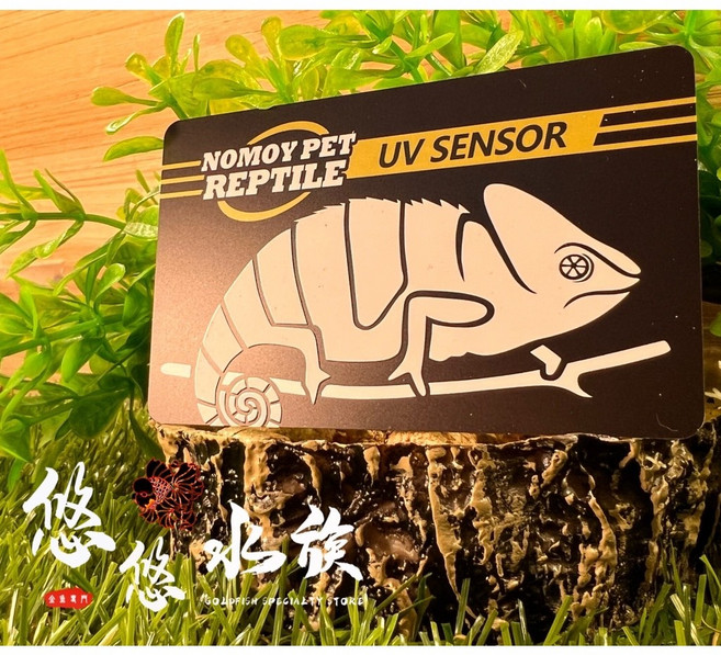NOMOY PET REPTILE UV SENSOR 測試卡 助鈣合成 曬背 防疾病, 1個