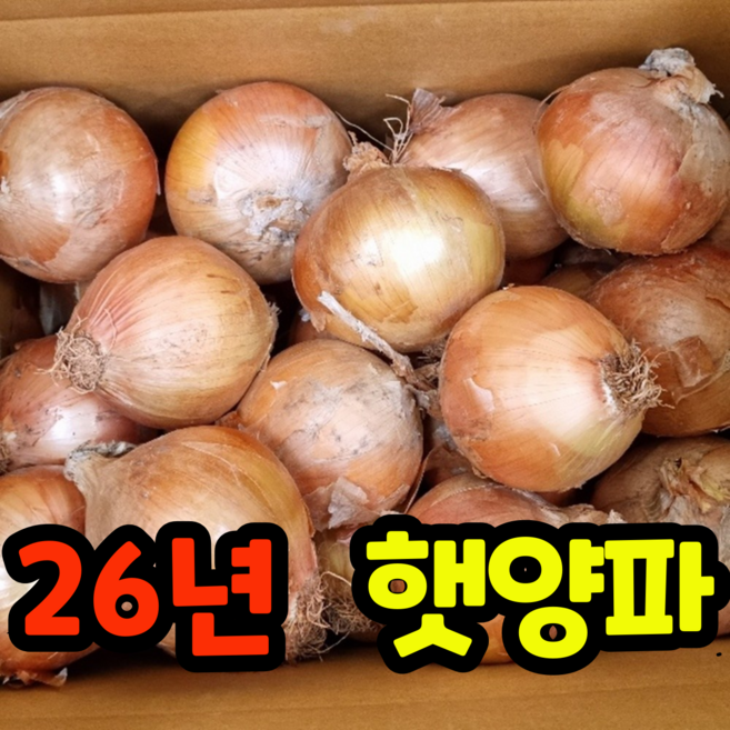 국내산 양파 잘말려 단단한 무안 햇 양파, 1박스, 3kg(소)