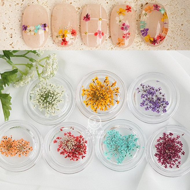 그라데이션 안개꽃 생화 7종 (낱개/세트), 4-퍼플, 1개