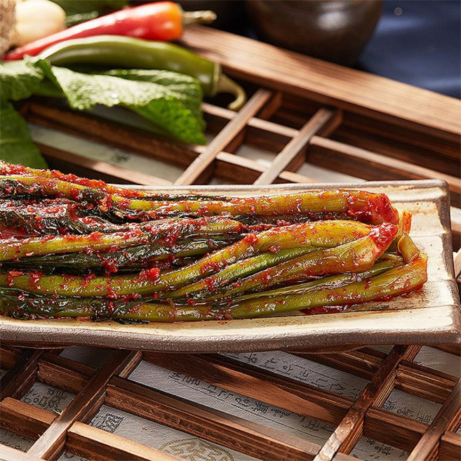 모산장군차김치 진경 갓김치 /향이좋고 맛있는별미반찬, 5kg, 1개