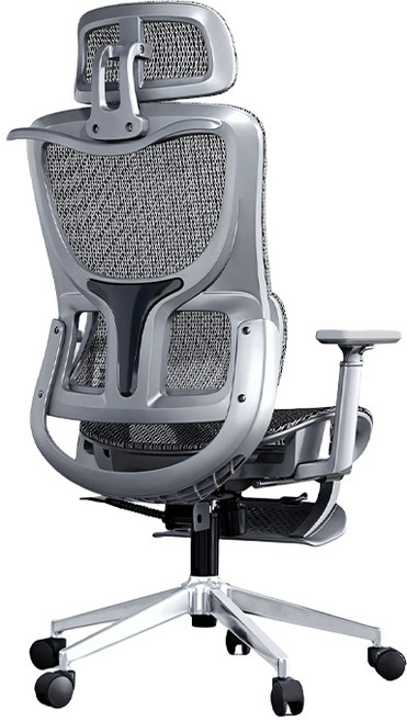 Xpanse 人體工學椅 3D自適應腰靠與4D扶手設計, LS918-航天冷軋鋼-全椅高彈特網