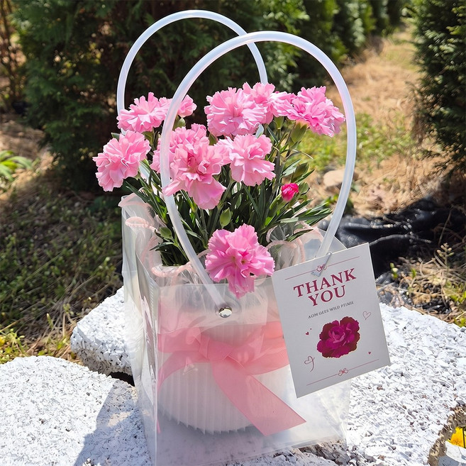 아비가든 카네이션 선물세트 생화 (특상품) 꽃선물 꽃화분 어버이날 스승의날, 1개, 2.프릴(핑크-10cm)