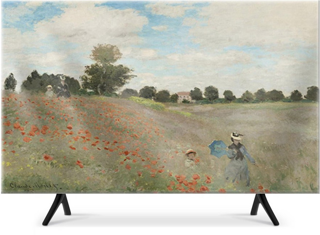 비템포 티비 가리개 TV 55인치 65인치 75인치 티비 먼지 덮개 커버, 아르장퇴유 부근의 개양귀비꽃