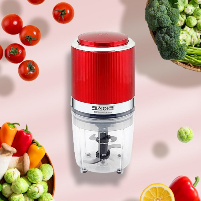 키친아트 REX 전동 만능 다지기 마늘 야채 채소 양파 고기 이유식 멀티 미니 믹서기