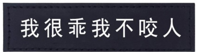 猛犬警示貼 寵物友善告示牌 拒摸標語貼紙, 1個, 我很乖我不咬人