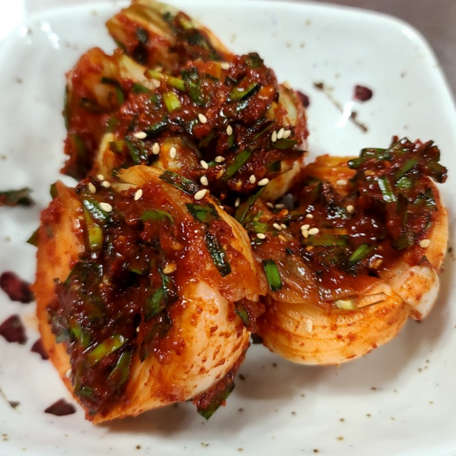 해남땅끝모녀반찬 양파 김치 1.5kg, 1kg, 1개