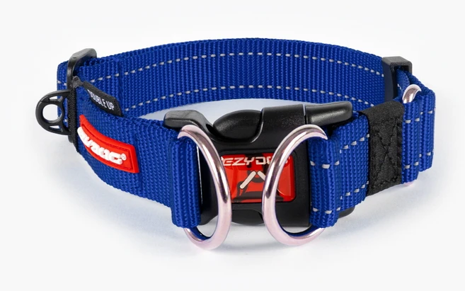 이지독 더블업 강아지 목줄, 블루, 1개 - 쿠팡