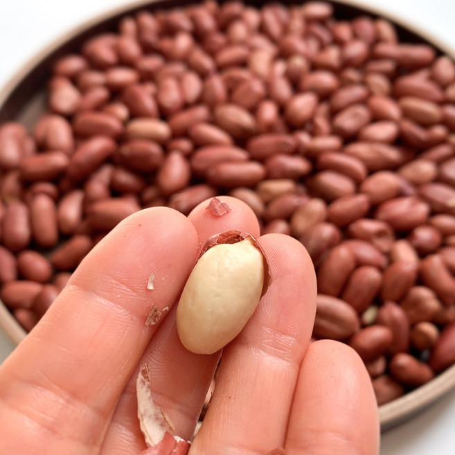 말린마켓 매일 아침 볶아 신선한 경기도 여주산 국산 볶음 땅콩 햇 땅콩 견과류, 300g, 1개