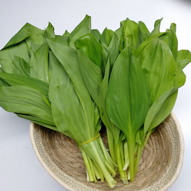 강원도 인제 산마늘 명이나물 잎명이나물, 2kg, 1박스, 잎 명이나물