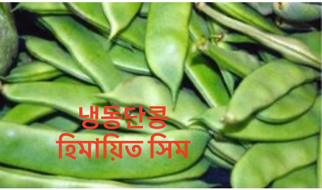 FROZEN BOILED KIDNEY BEAN(CHINA SHIM)(냉동삶은강남콩)중국단콩(중국야채)(1+1) 2팩 총 1KG, 2개, 500g