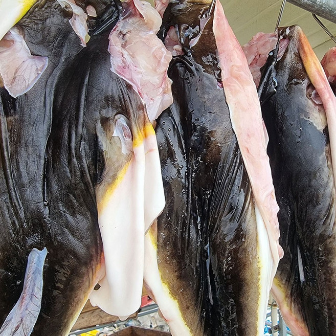 나라수산 동해안 자연산 손질 복어 밀복, 손질밀복어700g(1~2마리), 1개