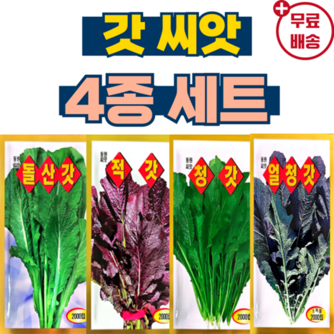 동원 갓 씨앗 4종 세트