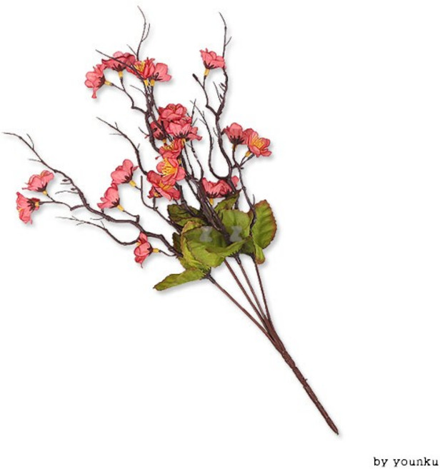 4가지 드라이플라워 매화 조화 -N, 오렌지