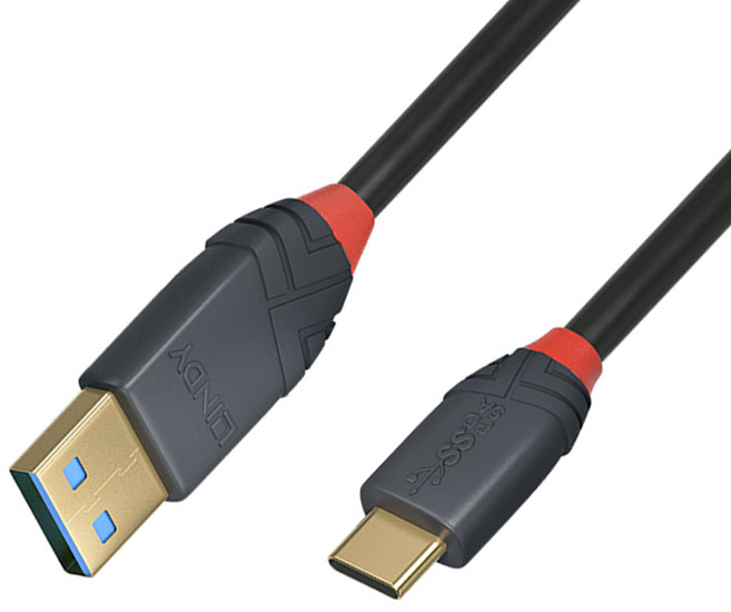 LINDY林帝Type-C快充線 USB3.2 GEN 2 TYPE-C對A 10Gbps傳輸線 PD智能電流晶片100W, 黑色, 1條, 1m