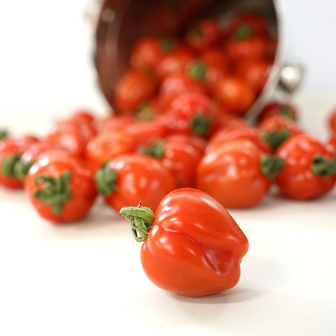 스윗볼 루비벨 토마토 방울토마토, 1개, 2kg 3-4번과