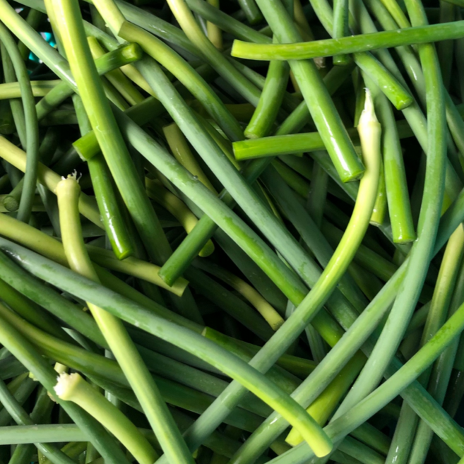 [특가판매] 아삭아삭밥도둑 남해보물섬 햇살농원 국산마늘쫑, 1박스, 1kg