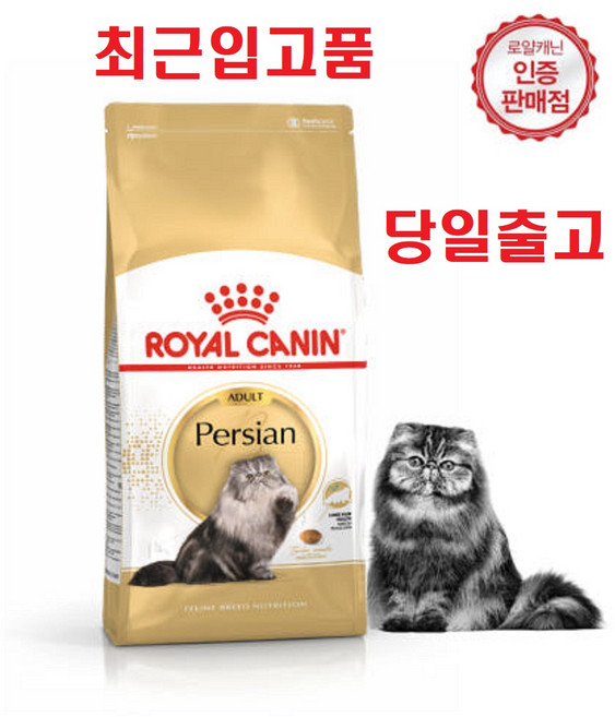 2kg 당일출고(최근입고분) 로얄캐닌 고양이사료 페르시안 어덜트 2kg 페르시안 전용사료 건강한 피모 헤어볼배출 소화력향상 증정품)헬로치킨껌1개, 1개, 닭+오리