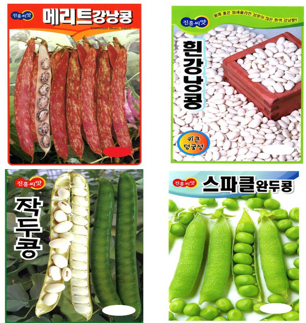 스파클완두 흰강낭콩 작두콩 얼룩이강낭콩 서리태 씨앗 종자 (스파클완두 흰강낭콩 작두콩 얼룩이강낭콩 서리태 씨앗 종자), 1.메리트 강낭콩 30g, 1개