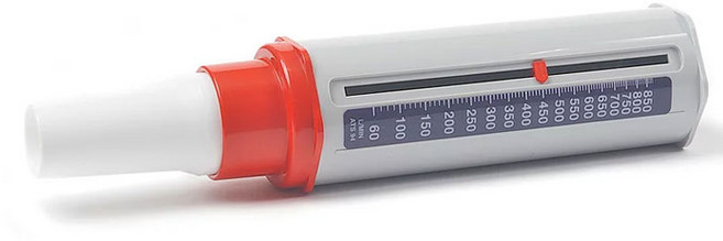 (Clement Clarke) 최대호기량측정기 피크플로우미터 (성인용/3103085), 1개