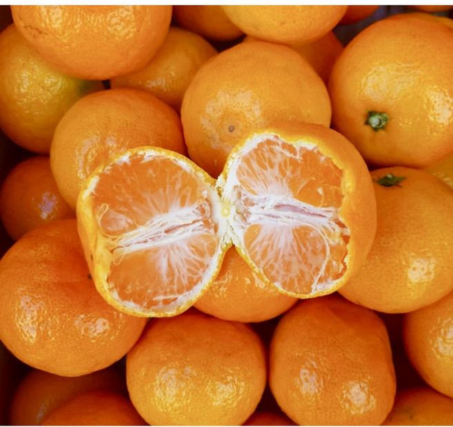 프리미엄 감귤 귤 타이벡 비가림 조생 하우스 제주 서귀포 2kg 3kg 5kg 10kg 1박스, 1개, (상) 타이벡 감귤 2.5kg