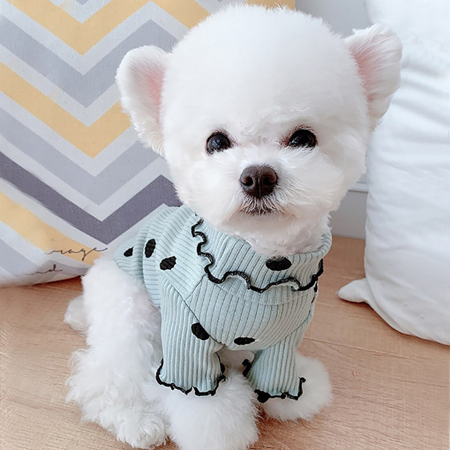 쁘띠도그 웨이브폴라티 봄가을 반려동물 강아지옷 니트 도트 프릴 3color S~XL