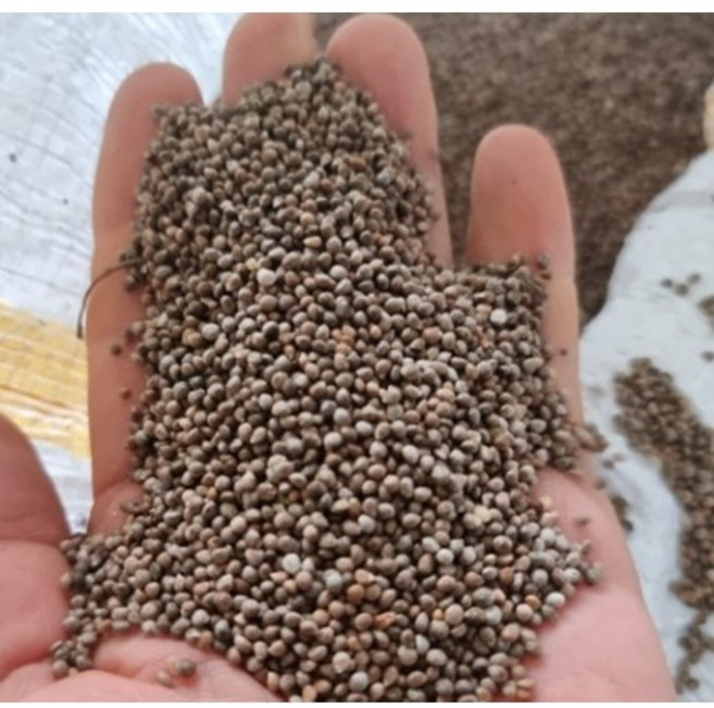 국산 생들깨 25년 햇들깨 햇깨 생깨 600g 통들깨 국산들깨, 1개