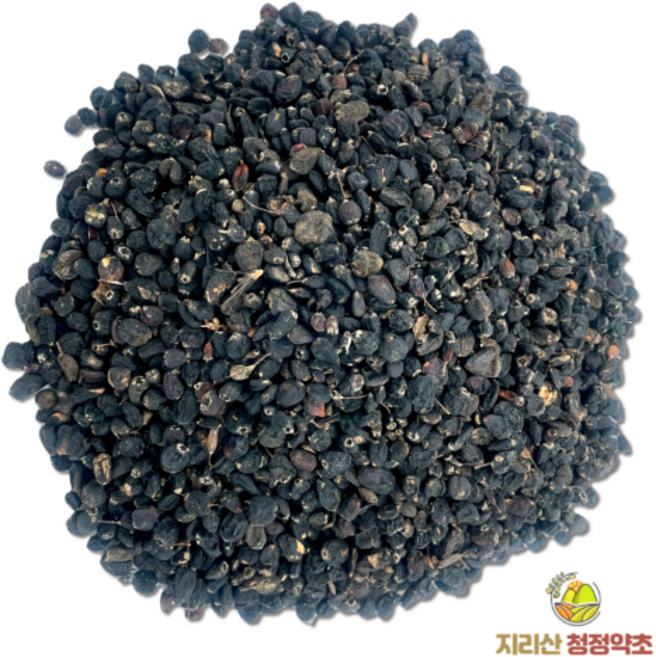 지리산 청정약초 저온건조 오가피 열매(국내산) 300g, 1개