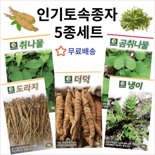 주주씨앗 다농 토속씨앗 5종세트 노지월동씨앗 종자 더덕 도라지 냉이 곰취 취나물 씨앗 산채, 1개