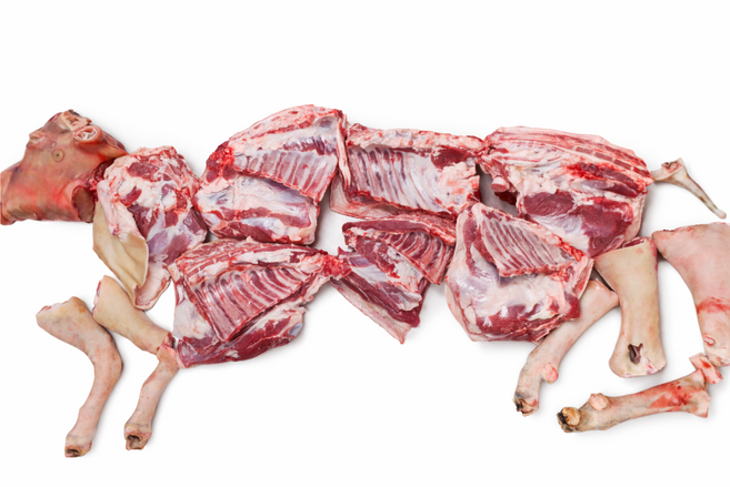 국내산 흑염소고기 염소고기 반마리 / 한마리 지육(뼈+살+껍데기) 전남흑염소산업 한염, 1개, 20kg