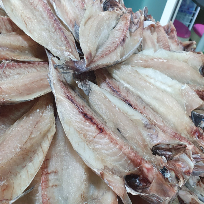 반건조 손질 활복 민어 34cm 3마리, 1개