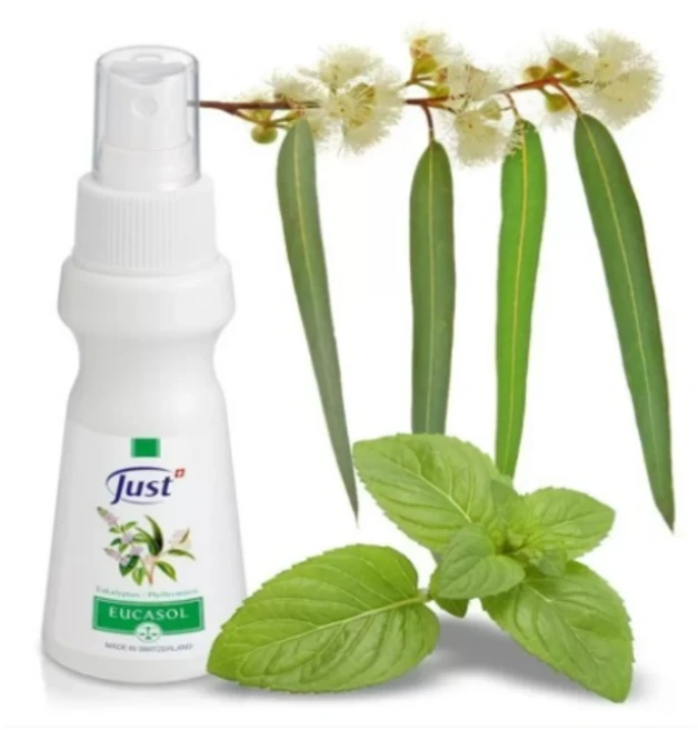 [스위스 유스트] 유카솔 허브 스프레이 독일 직배숑, 75ml, 1개 - 쿠팡