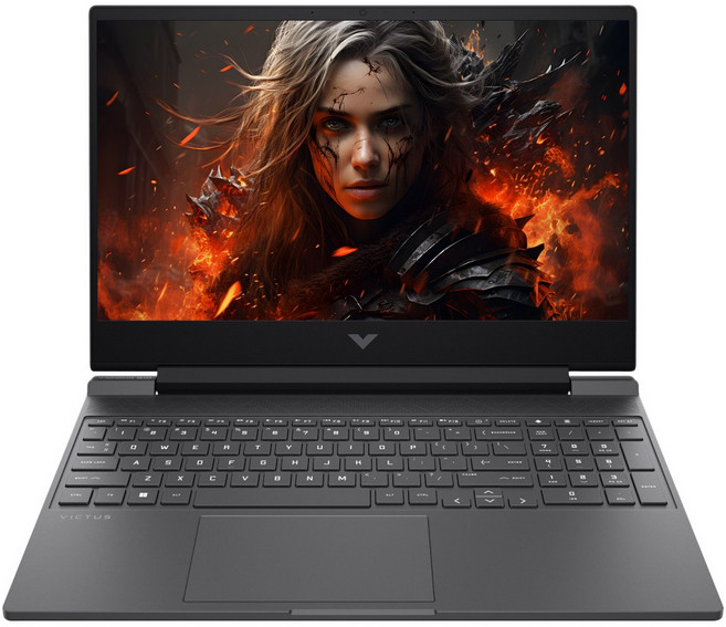 HP 2025 빅터스 15 라이젠9 라이젠 8000 시리즈 지포스 RTX 4060, Mica Silver, 1TB, 32GB, WIN11 Home, 15-fb3001AX