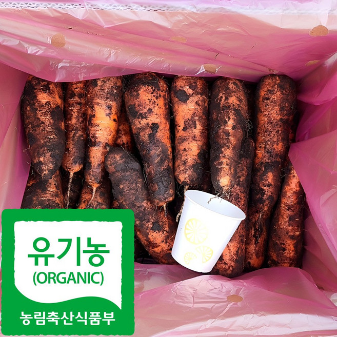 제주 산지직송 유기농 흙당근 (특상혼합), 3kg, 1박스