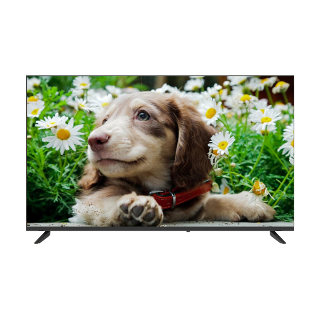 JetGiga 兆基電子 HD液晶顯示器, 單一商品, 單純送貨商品, 立式, 24英寸