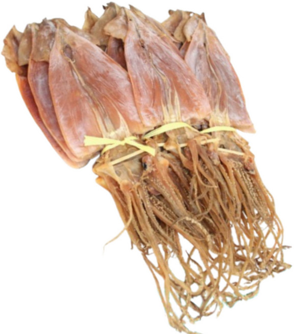 동해안 마른 오징어 국산 말린 몸통 건조 건오징어 2kg 손질오징어 업소용오징어, 1개