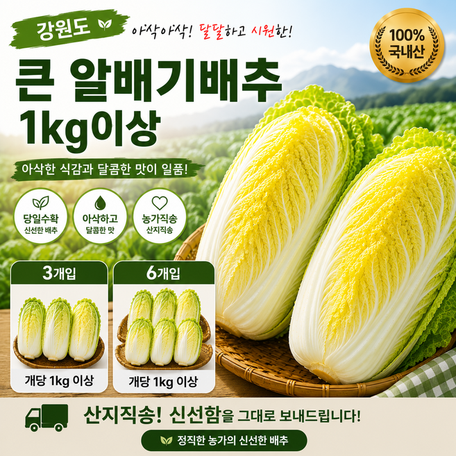 강원도 고랭지 알배기배추 1kg이상/3개입/6개입/12개입/실속형500g내외/쌈배추 포기배추 배추김치, 3개, 1kg