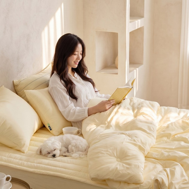 [독일 피부과학인증] Aller-X 더마 알러지케어 먼지없는 차렵 이불 간절기 가을 사계절 침구 세트