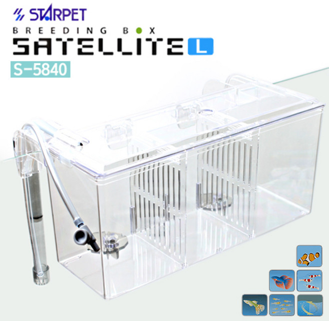 sudo_세틀라이트L_S5840, 1개